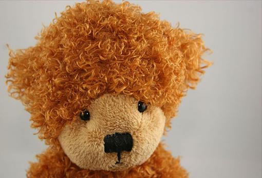 Beginner in studio lighting in need of help!!-lost-bears-002.jpg