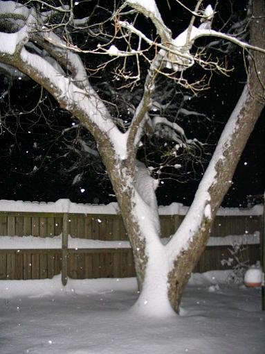 White Christmas in Texas-img_0244.jpg