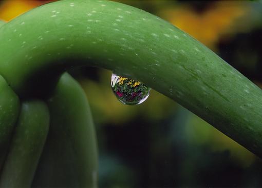 The Big 1 Tripple 0-drop-unmanipulated.jpg