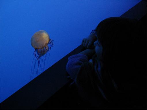 Pics with A new toy-aqua3.jpg