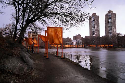 &quot; The Gates&quot; installation in Central Park, N.Y.C-46110023thegatesweb.jpg