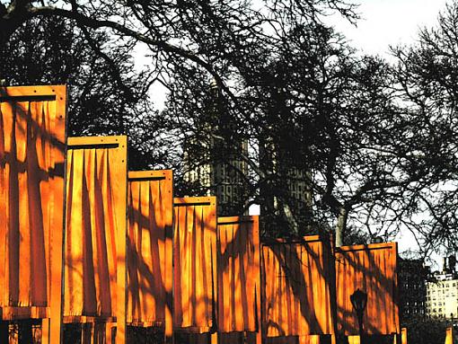 &quot; The Gates&quot; installation in Central Park, N.Y.C-shadows.jpg