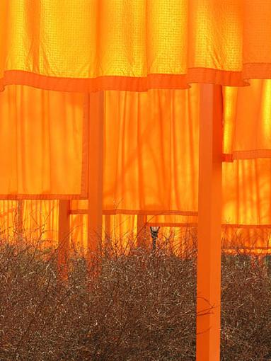 &quot; The Gates&quot; installation in Central Park, N.Y.C-geometry.jpg