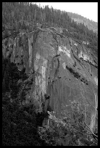 Can you spot the elephant?-elephant_rock.jpg