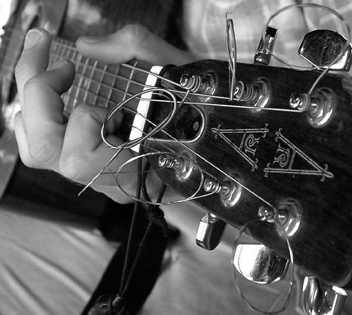 Had to re-register-frets-b-w.jpg