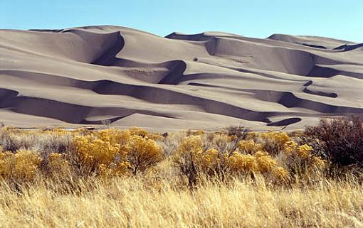 Photographyreview: The People-sanddunes.jpg