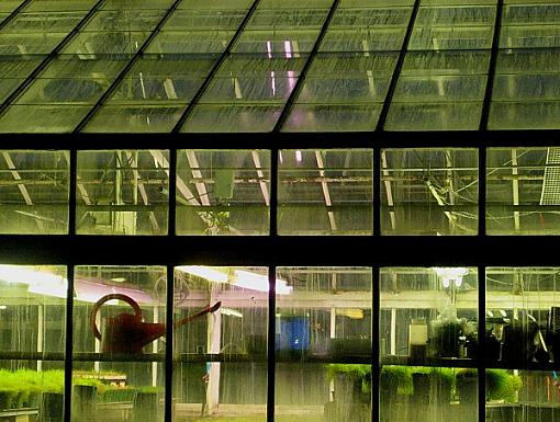 Photographyreview: The People-greenhouse1.jpg