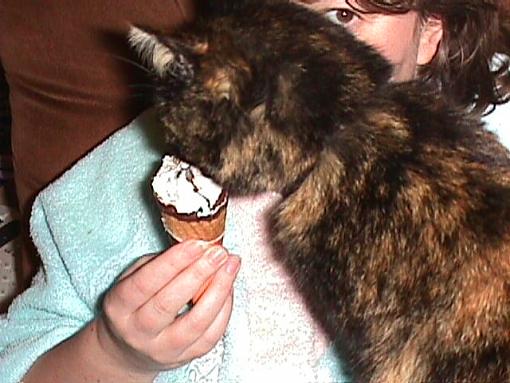 The Naughty Kitty Files.... #1-losely-icecream1.jpg