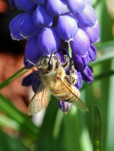 Upside Down Lunch-dsc_6275.jpg