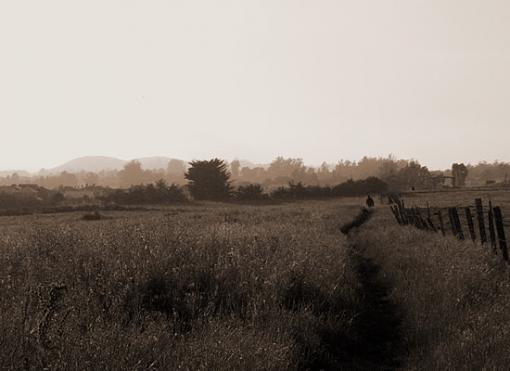 Singletrack with old fence and walker. Sepia-sepiatrail.jpg