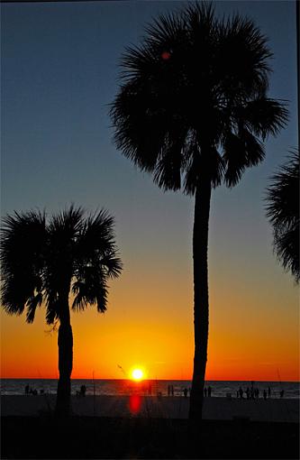 No words: The Golden Hour-clearwater.jpg