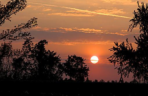 Dandelion Sunset-dsc_7091.jpg