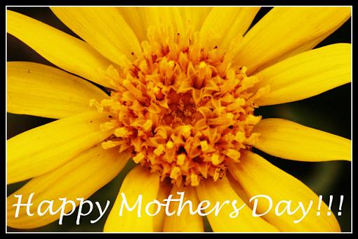 Happy Mothers Day!!-mothers-day.jpg