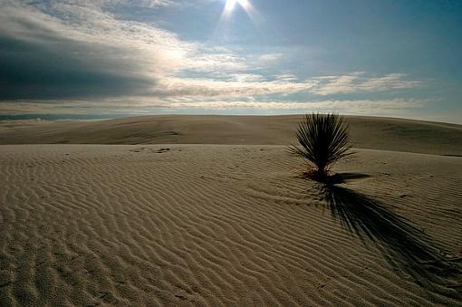 White Sands...-ws_5.jpg