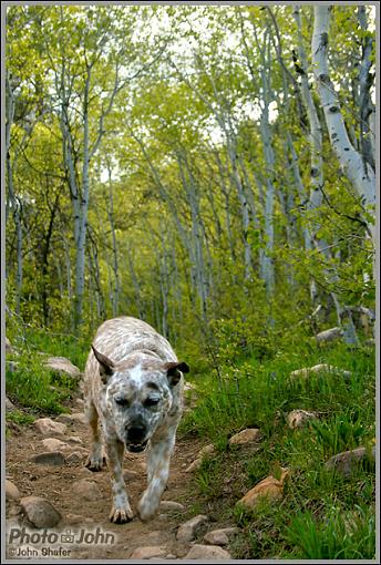 Hike w. Lela-crw_0739.jpg