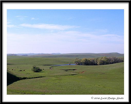 Roadtrip: destination Northern California-open-range.jpg