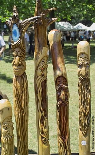 Walking Sticks-wkstkii.jpg