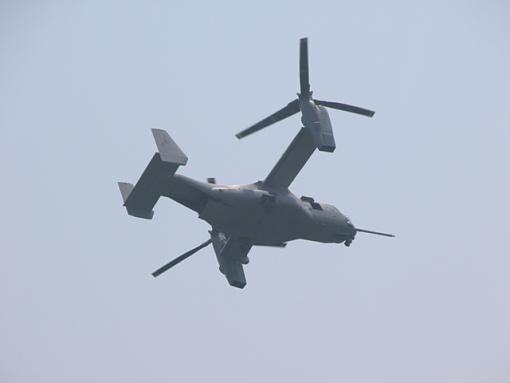 Ugly Osprey-osprey-003-pr.jpg