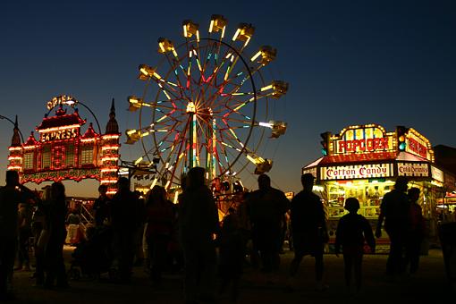 a few from the County Fair-191_9110.jpg