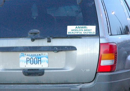 a funny bumper sticker-dsc_001500011.jpg