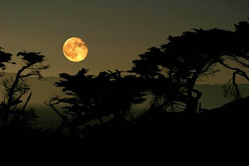 Shiprwrecked on a Starry Night-moon_over_cyprus.jpg