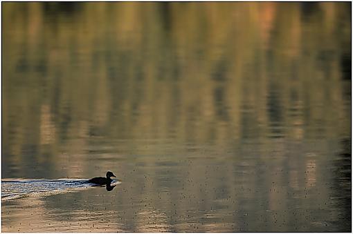 From Yesterday's Visit to Mount Lassen-travel_49.jpg