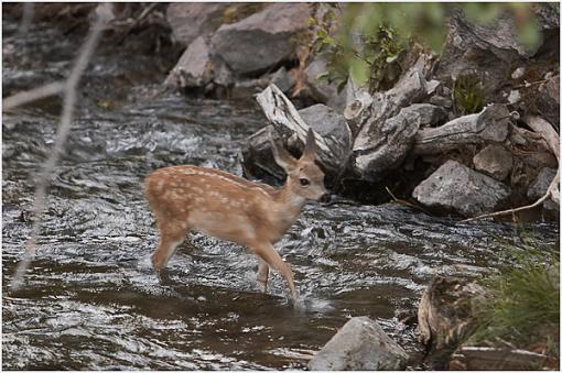 From Yesterday's Visit to Mount Lassen-travel_61.jpg