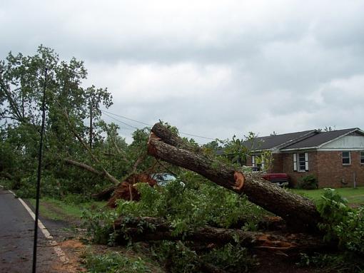 Katrina aftermath-100_24161.jpg