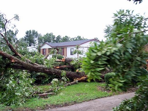 Katrina aftermath-100_24191.jpg