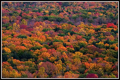 The colors of fall-crw_7676-.jpg