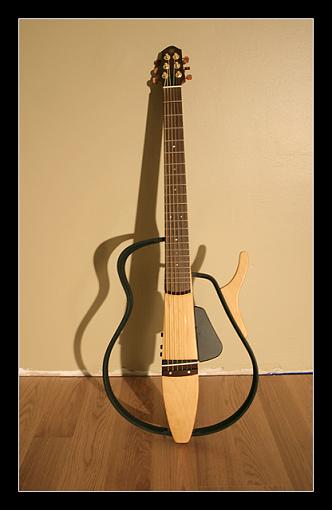 Is my wife the BEST or what?-guitar.jpg