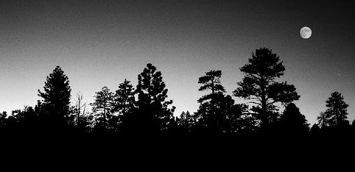 Back (in B&amp;W) from Utah-bryce-campground-moon-resize-edit.jpg