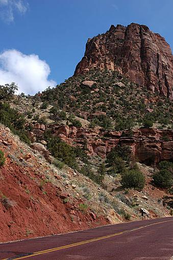 Our trip to Utah - Days 1 &amp; 2-zion-01.jpg