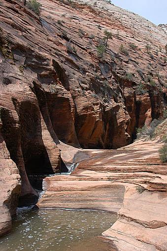 Our trip to Utah - Days 1 &amp; 2-zion-13.jpg