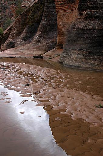 Our trip to Utah - Days 1 &amp; 2-zion-23.jpg