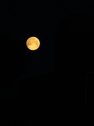 Full Moon Tonight-01.jpg