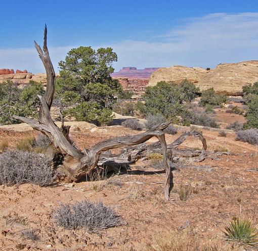 Canyonlands N.P.-post-4.jpg