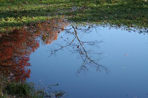 Non-PhotoShopped-reflectionwalney.jpg