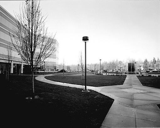 Work Day - Ground Hog Day - Delta 3200 - New Camera-workday_m_1.jpg