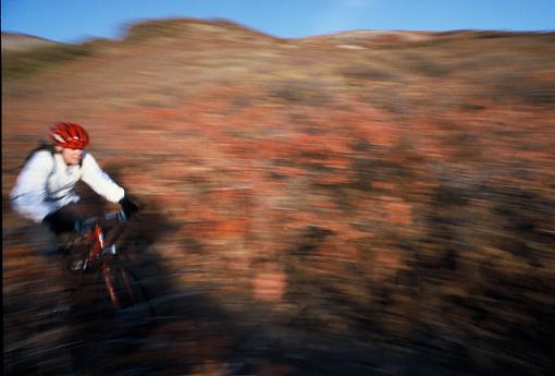 What's with all this MTBing?-lisabikeblurwebsize.jpg