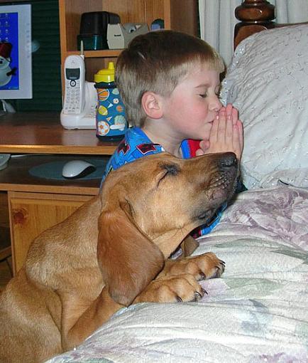 I like this picture-boy-dog-praying.jpg