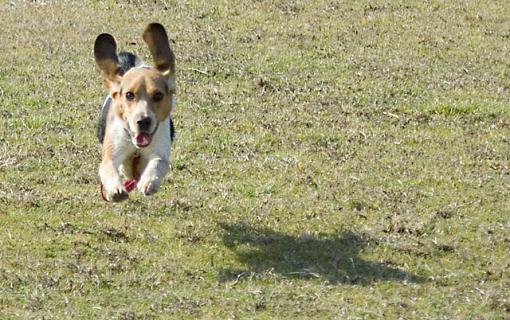 I Believe I Can Fly...-downspark4-1-06-170-.jpg