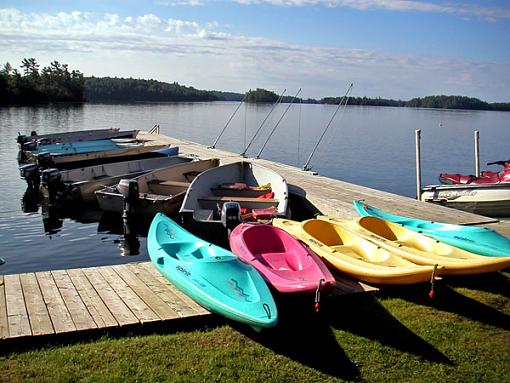 Conflicting Loves?-kayaks.jpg