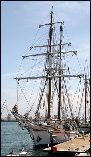 Brigantine Exy Johnson-img_3032_h640.jpg