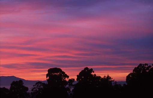 Some more scans - California-berkeley-sunset.jpg