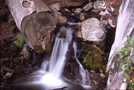 Some more scans - California-pfeifer-burns-waterfall.jpg