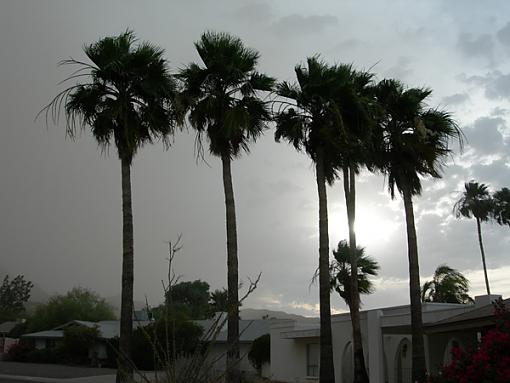 A few from Phoenix...-duststorm1.jpg