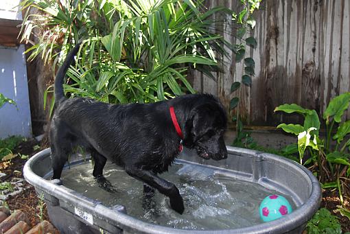 D200 fun in the sun and water...-max.jpg