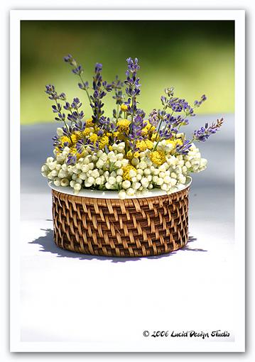 Annual Lavender Festival-arrangement1.jpg