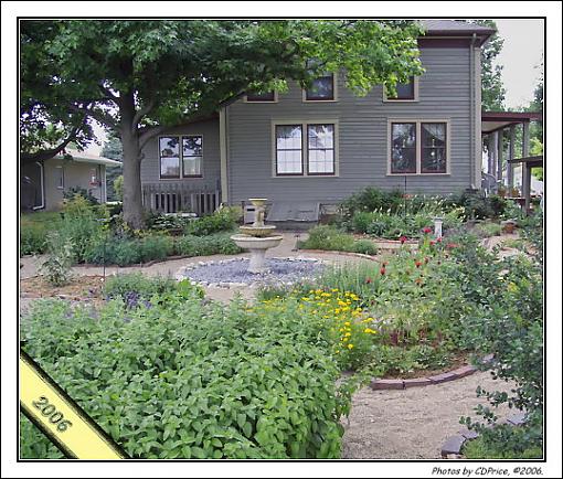 . . . How Does your Garden Grow? - Backyard-lngs06-314.jpg